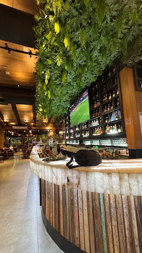 Restaurante Perto de Mim em Botequim São Paulo — foto 6