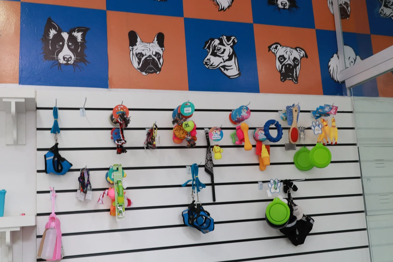 Tudo sobre creche para cães em ABC