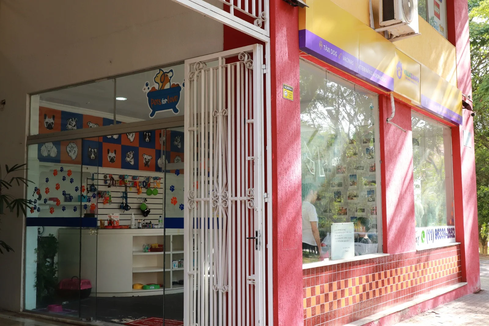 Tudo sobre adestramento de cães na Vila Euclides